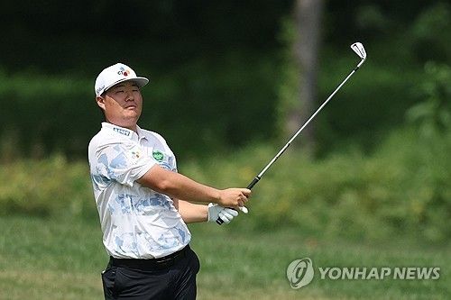 임성재의 아이언샷.