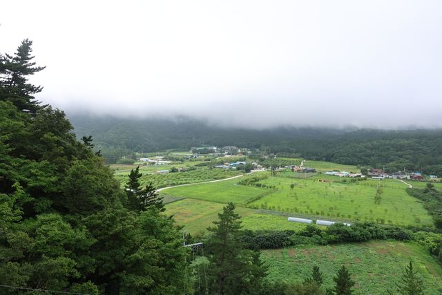 운무 속 울릉 나리분지