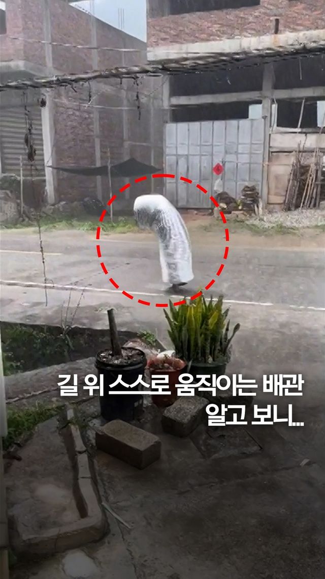 [쇼츠] 길 위 스스로 움직이는 배관…알고 보니 - 2