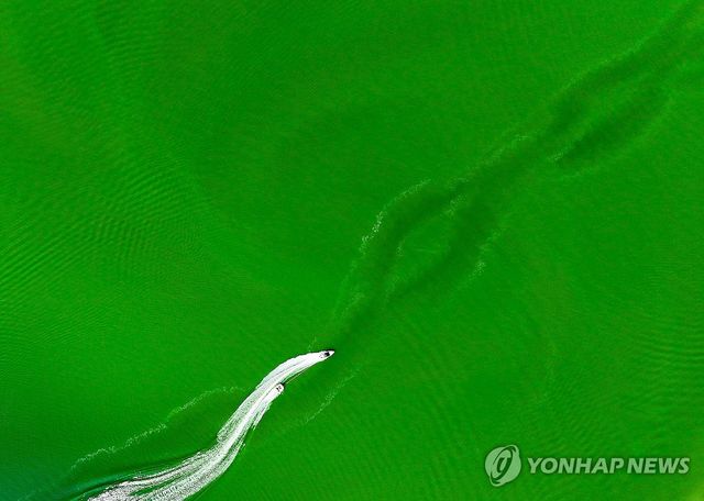 폭염과 녹조와 물놀이