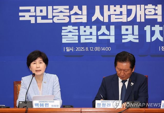 발언하는 백혜련 위원장