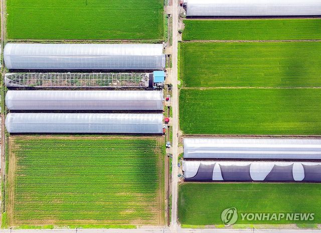 비닐하우스와 밭. [연합뉴스 자료사진]