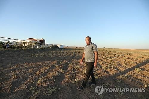 가뭄에 메마른 밀밭이 기막힌 시리아 농민