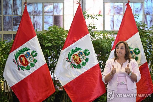 디나 볼루아르테 페루 대통령