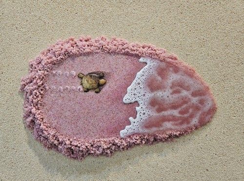 김석환 ‘바다 이야기’