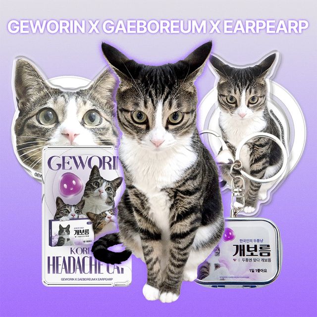 [삼진제약 제공]