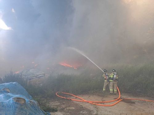 강릉 폐목재 야적장 불