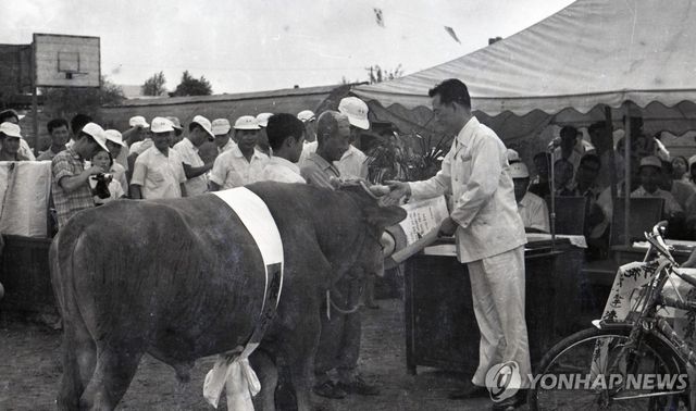 제주 제4회 가축품평회(1969년 9월 5일 제주농고)