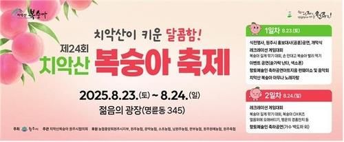 치악산복숭아 축제 안내문