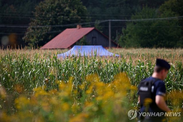 폭발 발생한 폴란드 옥수수밭