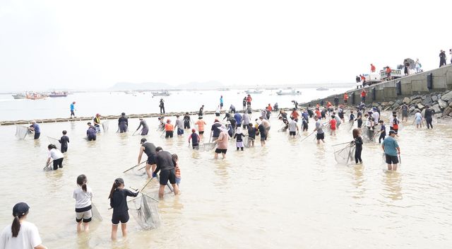 지난해 삼길포 우럭축제 당시 독살 체험 모습