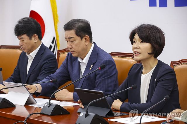 원내대책회의에서 발언하는 한정애 정책위의장