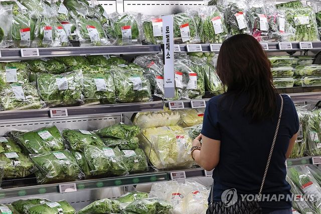 [연합뉴스 자료사진]