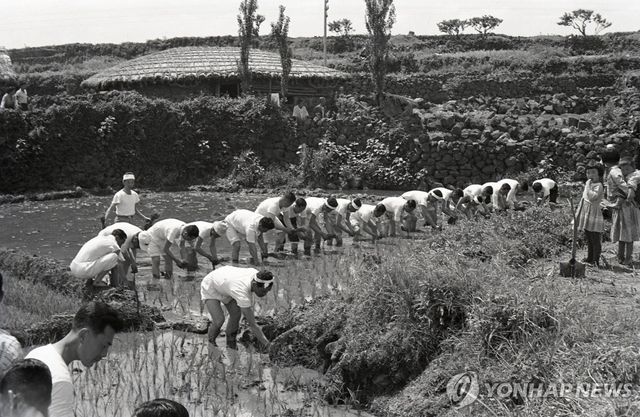 제주도 제15회 권농일 기념행사(1963년 6월 10일 제주 화북동)