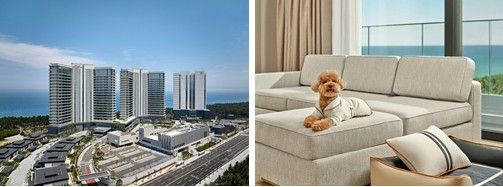 신라모노그램 강릉, 반려견 동반 객실