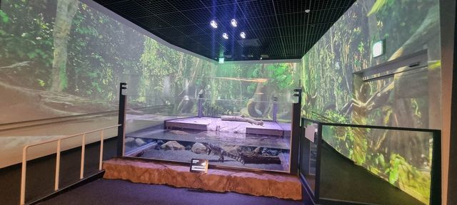 단양 다누리아쿠아리움 전시시설