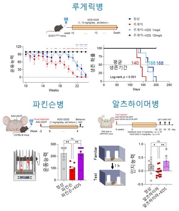 퇴행성 뇌질환 생쥐의 운동·인지 능력 측정