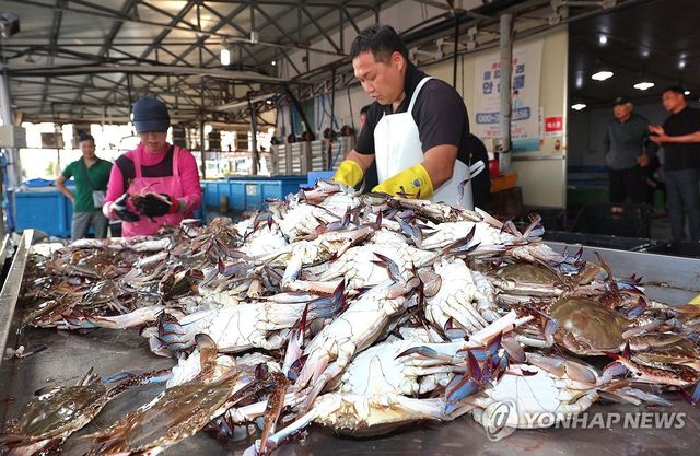 "반갑다"…태안 앞바다서 가을 꽃게잡이 시작