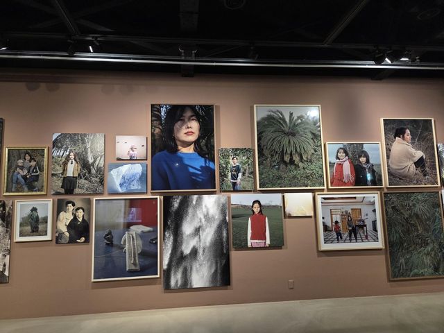 아르코미술관 '안티-셀프: 나에 반하여'전 전경