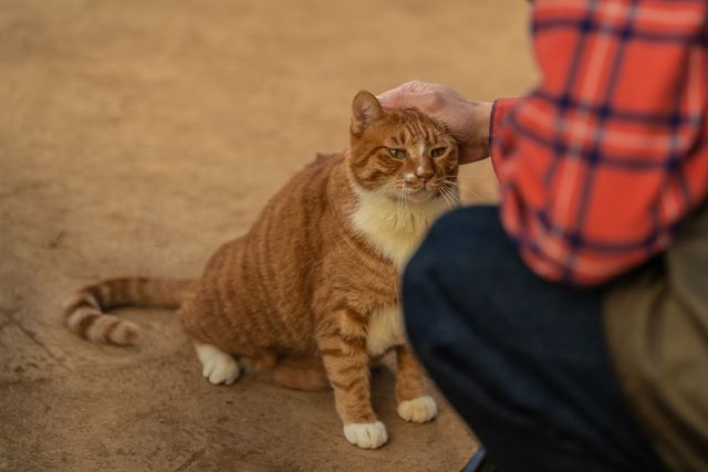 영화 '좀비딸' 속 한 장면