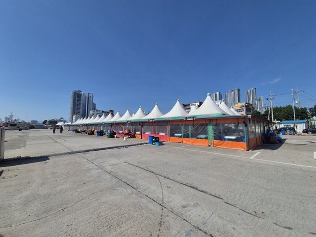 속초 오징어 난전