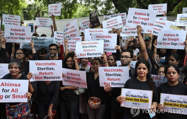 '떠돌이 개 영구격리' 대법 명령에 반대하는 인도인들