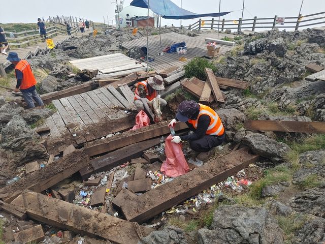 한라산 동능 데크 아래 쓰레기 수거 작업