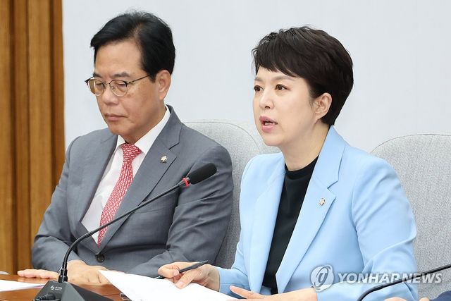 국민의힘 김은혜 원내정책수석부대표