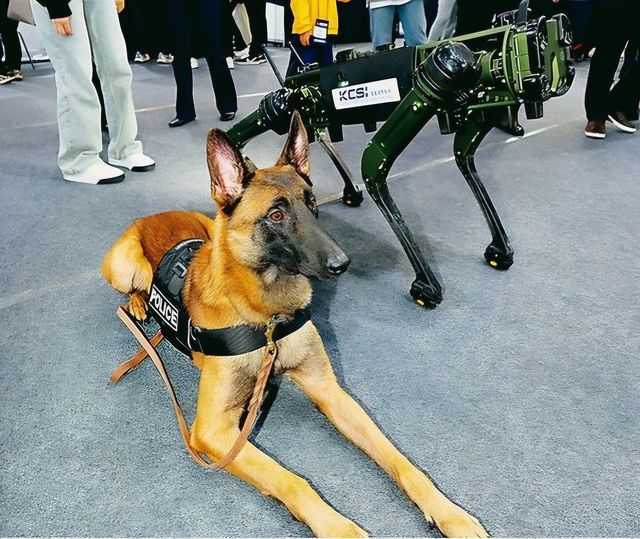 경기남부경찰 체취증거견 테오