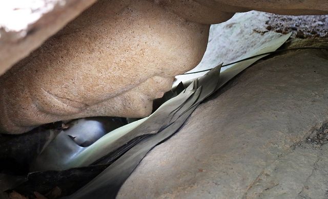 '5㎝의 기적' 경주 남산 열암곡 마애불