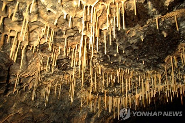 제주 황금굴 내부 황금빛의 석회 생성물