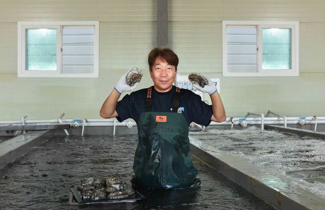 쿠팡을 통해 완도 전복을 판매하는 현지 어업인