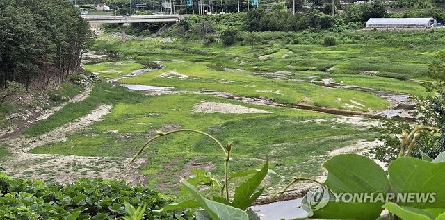 텅 빈 강릉시 상수원
