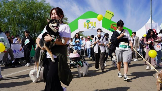 제1회 동물행복페스타 모습