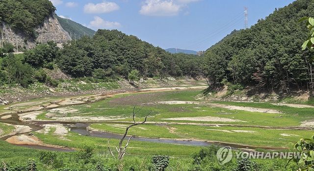 잡초 무성한 강릉시 식수원