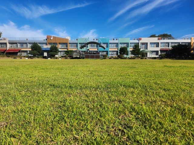 잔디 신품종 학교운동장 조성 사례 