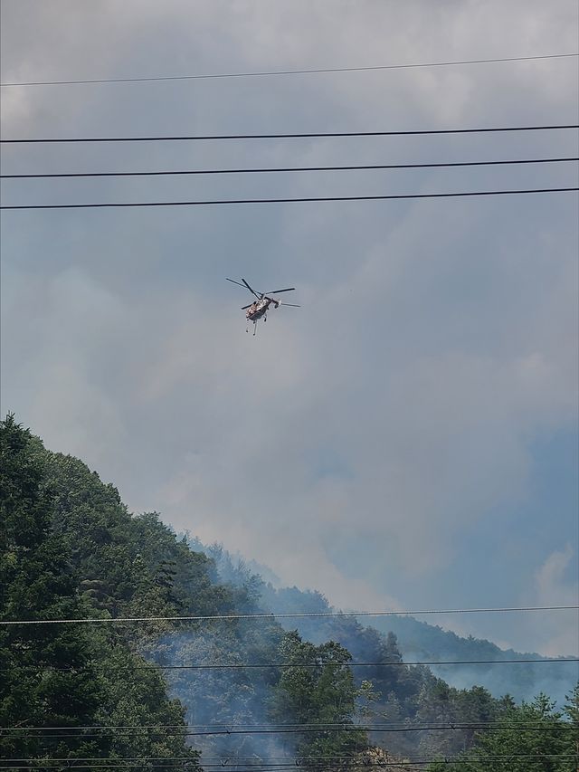 삼척 가곡면 산불