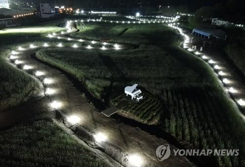 평창 효석문화제 야간 경관 조명