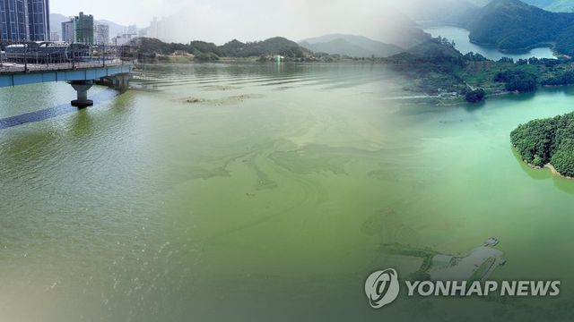 녹조 (CG)