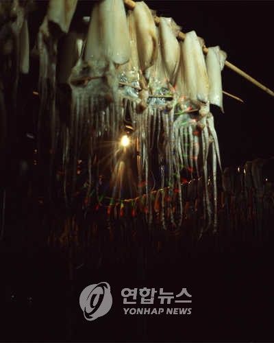 오징어 말리는 과정