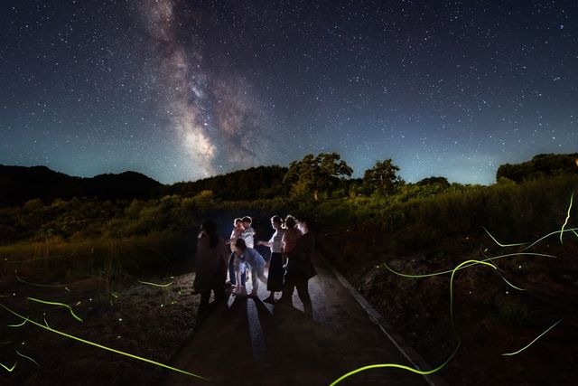 영양 '별빛 반딧불이' 체험 축제