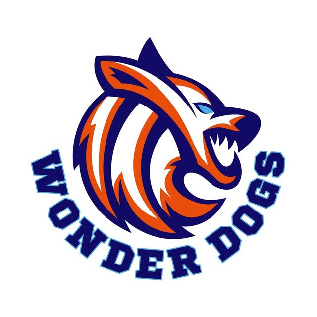 김연경이 이끌 배구팀 '필승 원더독스' 로고