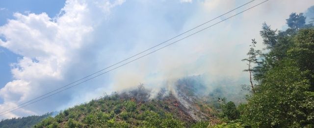 삼척 가곡면 야산 화재