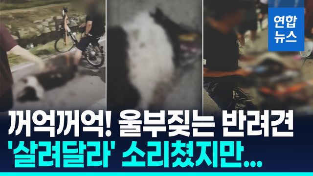 [영상] 전기자전거에 반려견 매달고 죽을때까지 달려…"살쪄서 운동" - 2