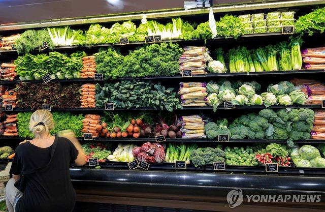 미국 플로리다주 슈퍼마켓의 채소 매대.