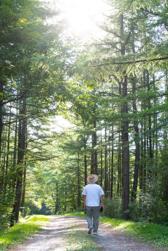 햇살 쏟아지는 운탄고도를 걷는 시민 [사진/성연재 기자]