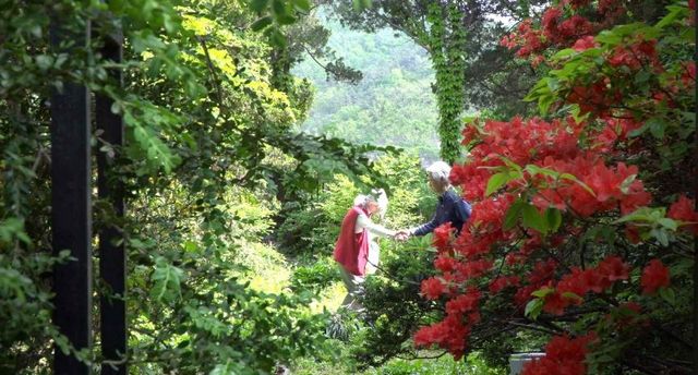 '기이한 생각의 바다에서' 스틸컷