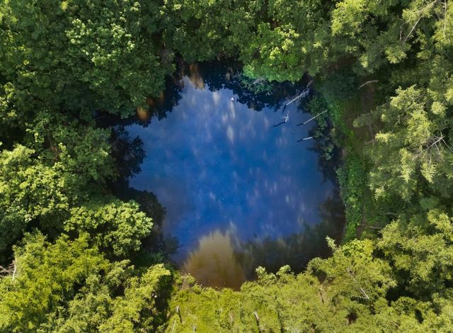 하늘이 비치는 도롱이연못 [사진/성연재 기자]