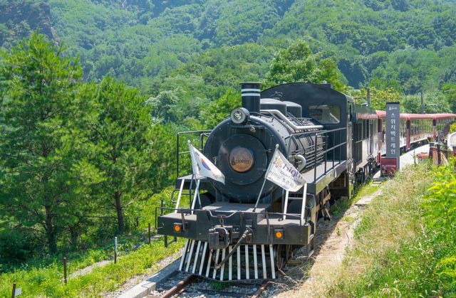 추추파크의 추추트레인 [사진/성연재 기자]