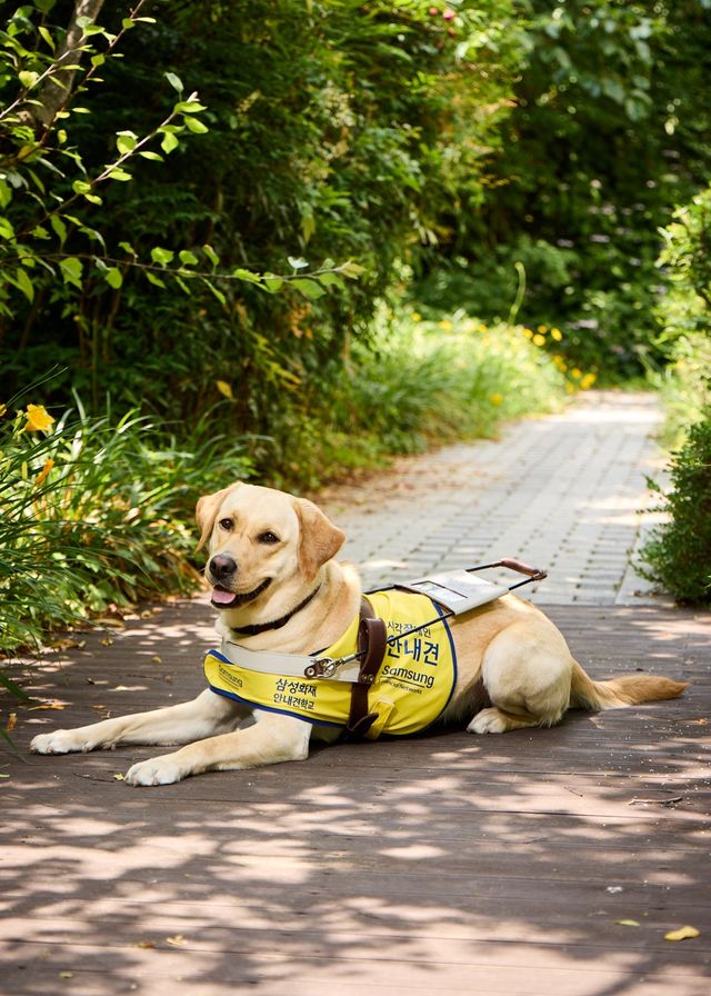 [삼성화재 제공. 재판매 및 DB 금지]